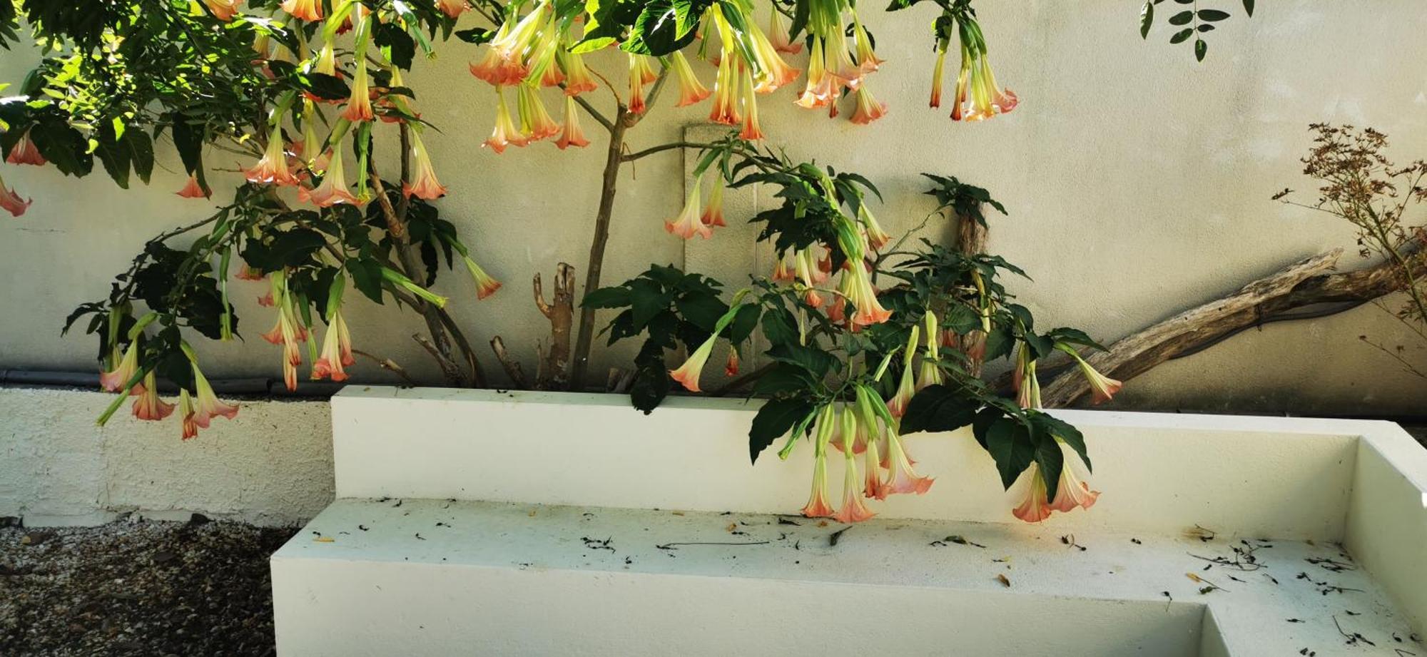 Maison Magnolia Marcorignan Εξωτερικό φωτογραφία